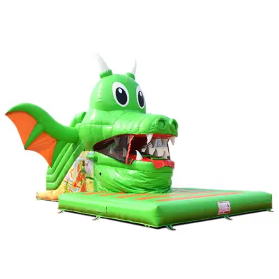 10m Inflatable Dragon Slide for Rentals