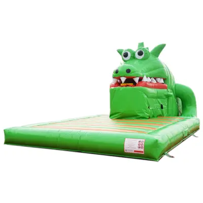 Inflatable Crocodile Slide