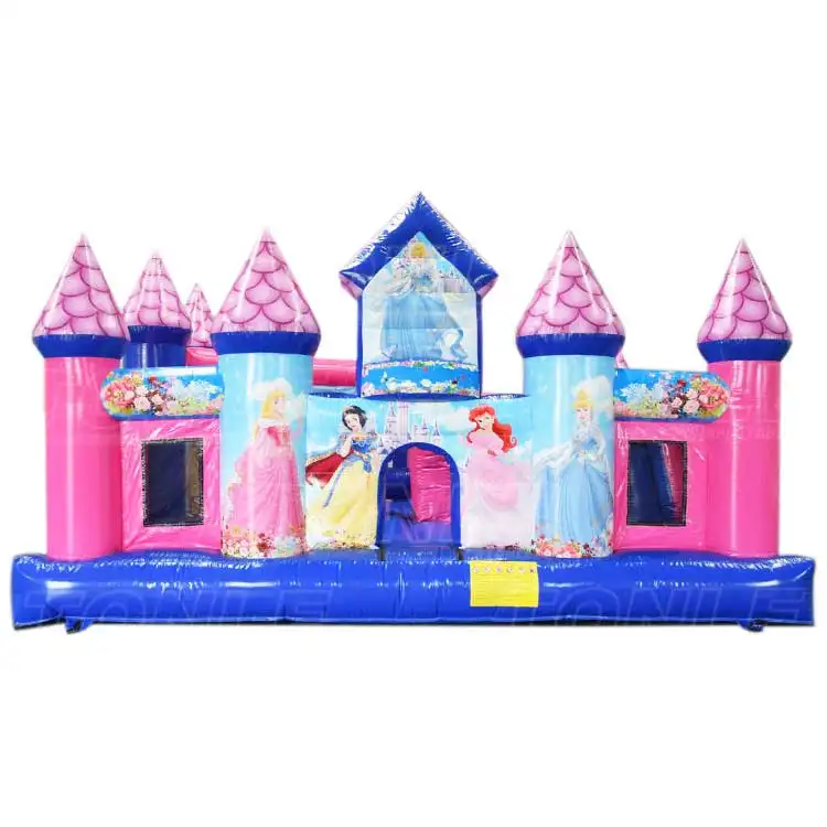 princess castle — photo 1