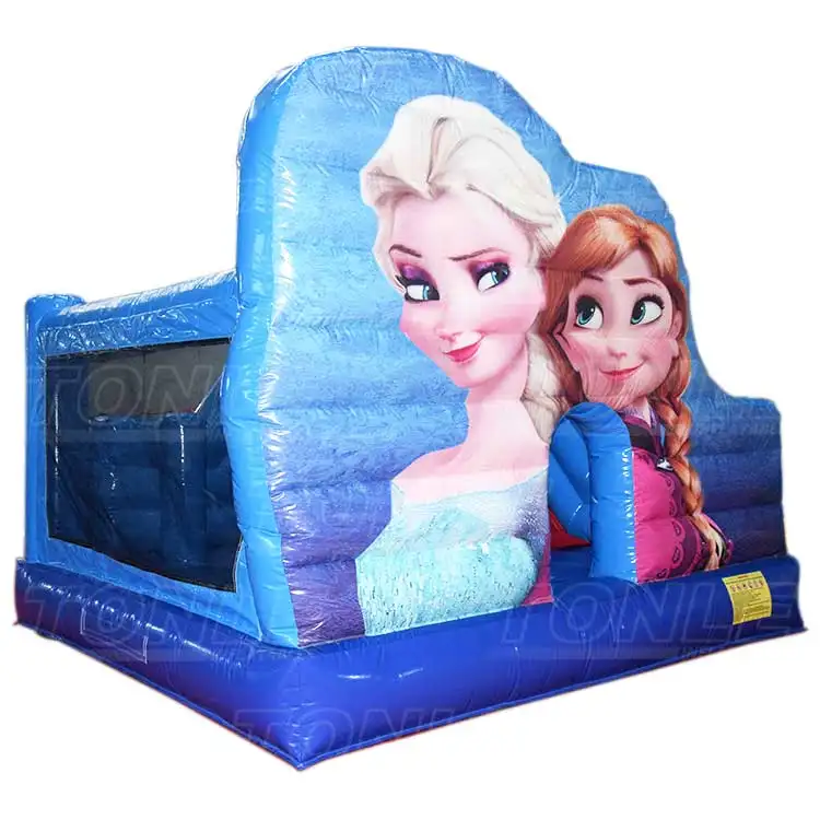 frozen bouncy slide combo — photo 1