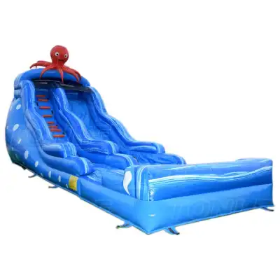 octopus water slide
