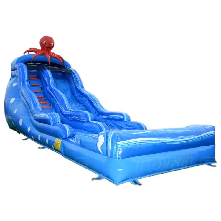 octopus water slide — photo 1