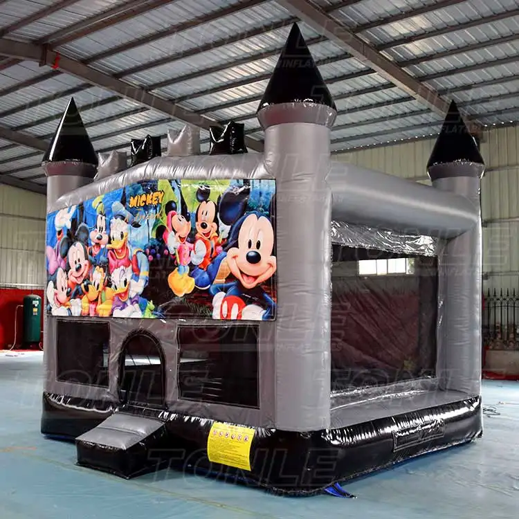 castle inflatable bouncer — photo 1