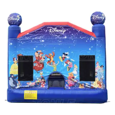 mickey castle
