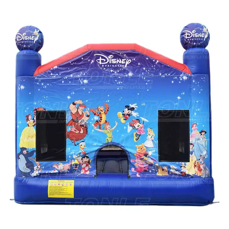 mickey castle — photo 1