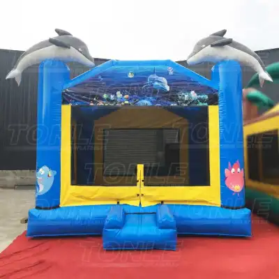 dolphin bounce house