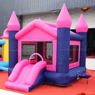 pink castle bouncer