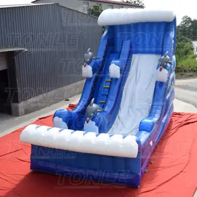 19' Dolphin Bay Splash inflatable water slide