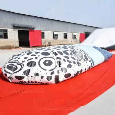 Custom Inflatable Fish Jump Bag - 8x4m Water Park Landing