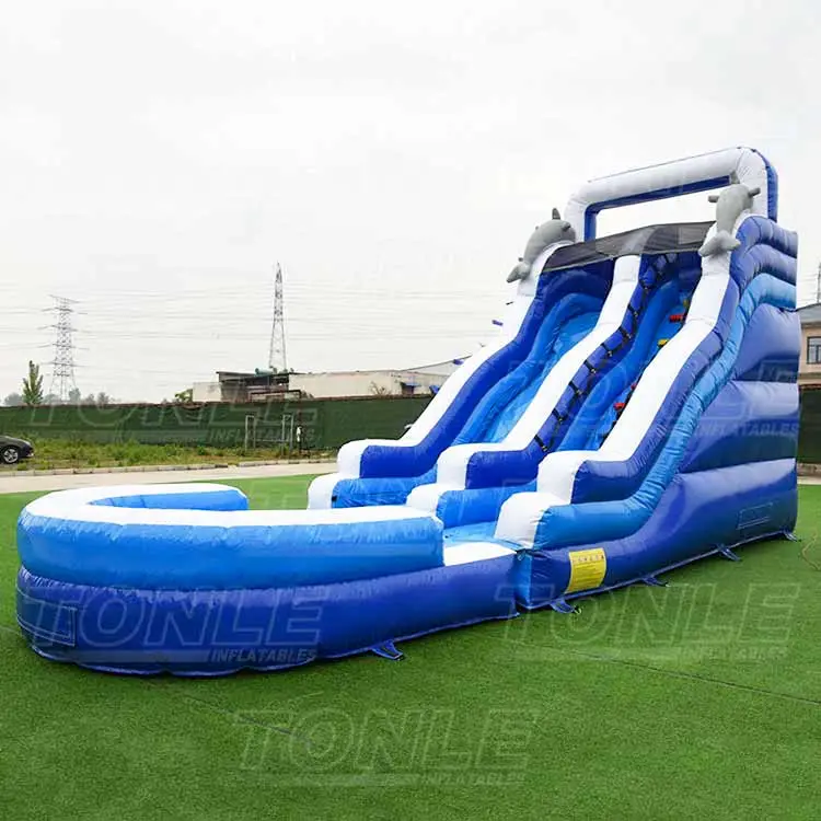 high quality dolphin inflatable water slide wave water slide for sale — photo 1