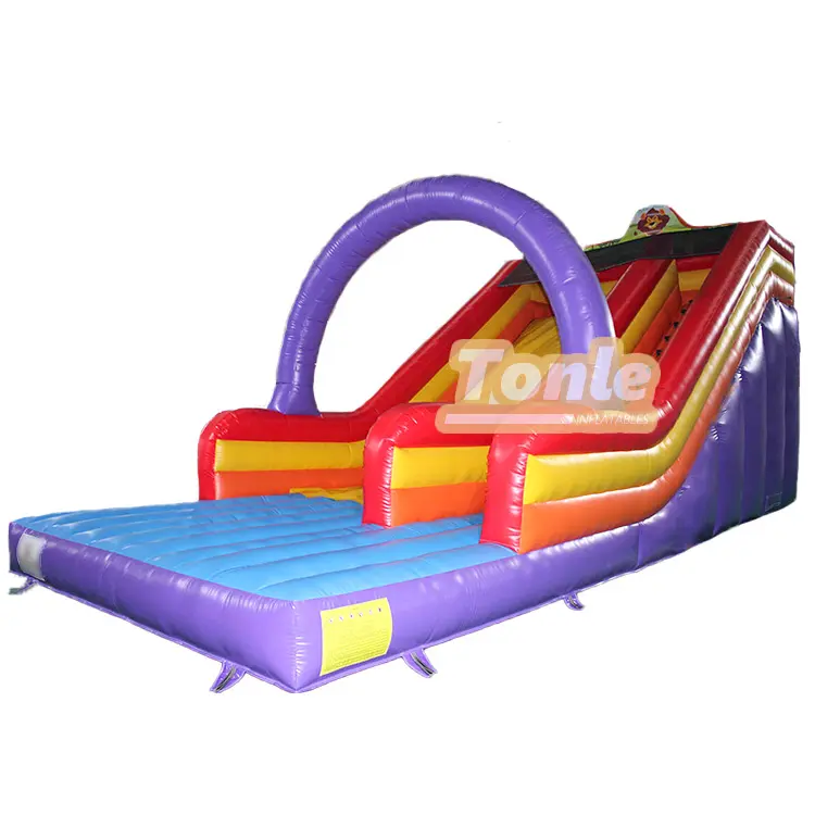 Little Lion Dry Slide featuring purple arch and dual red yellow lanes measuring 10x4.5m