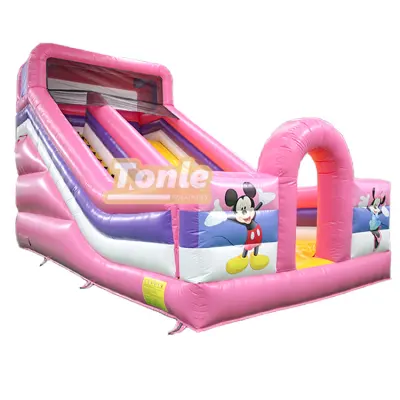 8x4m Dual Lane Inflatable Slide for Rental Business