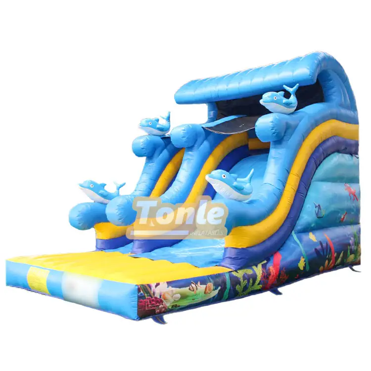 Blue and yellow Undersea Dolphin Dry Slide with dual lanes and 3D dolphin figures