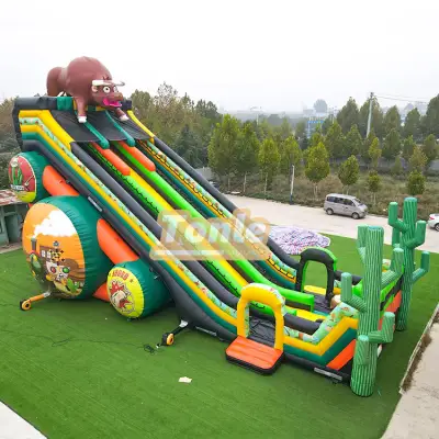 Wild Boar Train Dry Slide