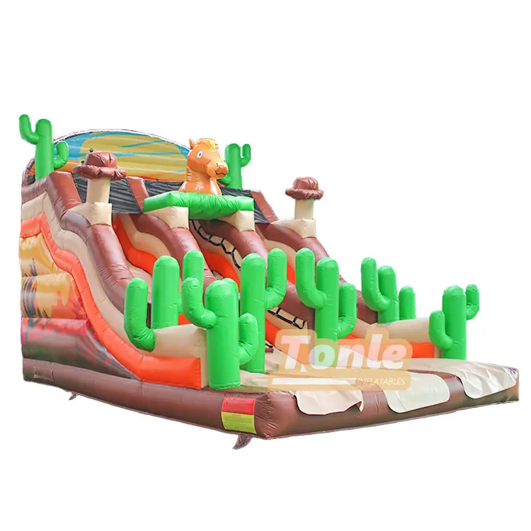 Desert Cactus Dry Slide featuring orange and brown stripes with green cactus decorations and a horse figure at the top