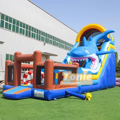 Inflatable Shark Slide