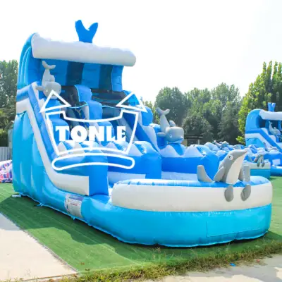 Dolphin Wave Commercial Inflatable Water Slide