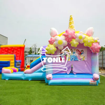 China factory Disney Princess bouncy castle water slide combo