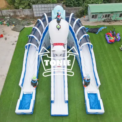 China factory Ice World inflatable Water pool slide