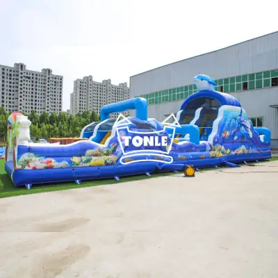 Small Inflatable Obstacle Course