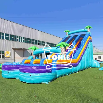 Commercial blue colorful tropical double-lane inflatable water slide
