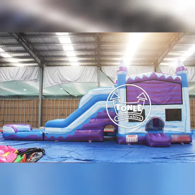 Tonle inflatables 4 in 1 Commercial inflatable water slide combo